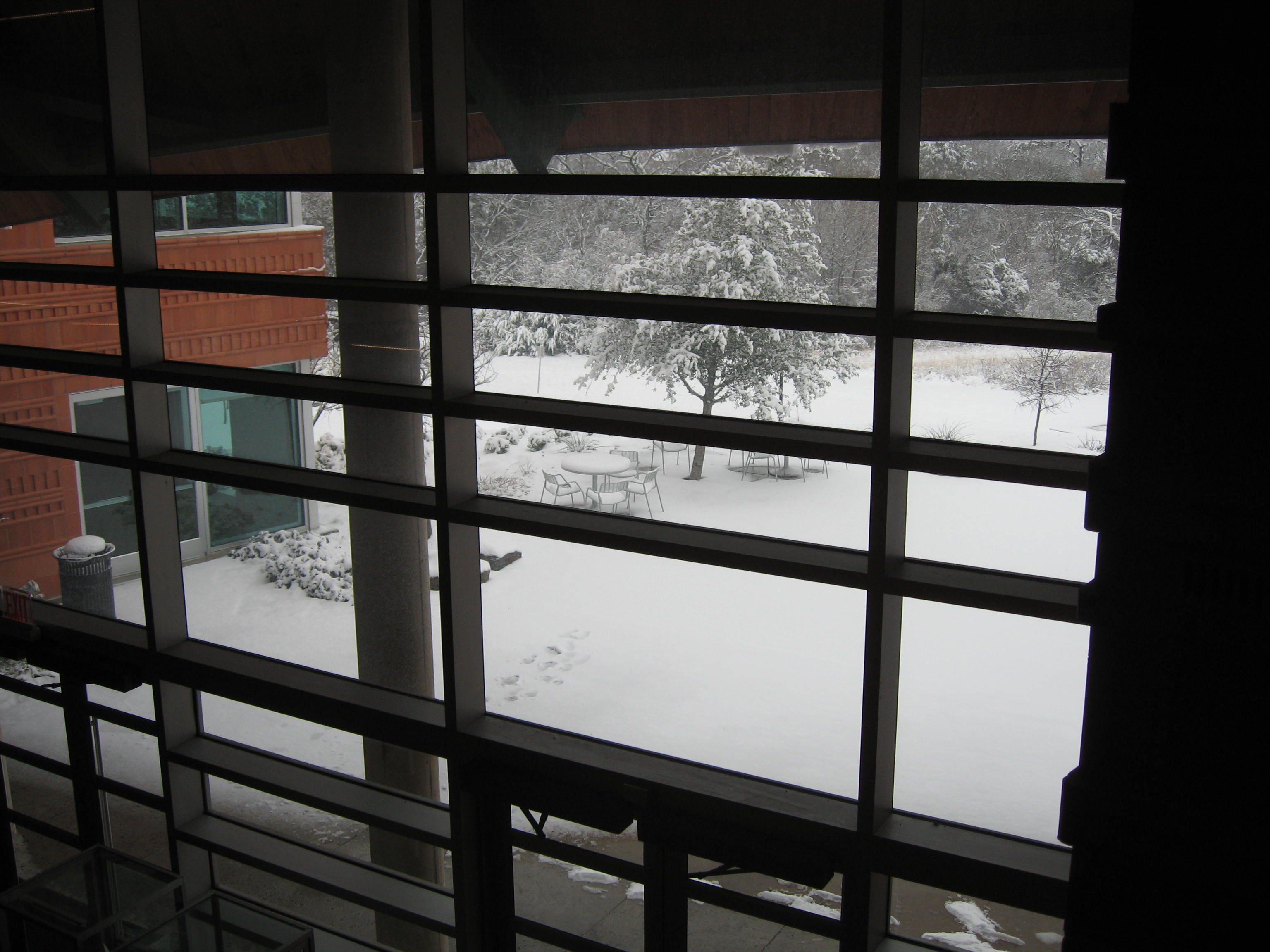 10.02.11 cedar hill snow scenes 011